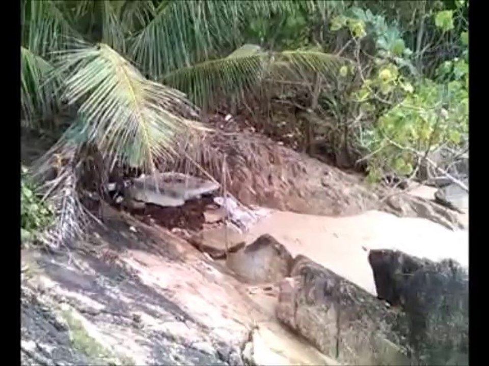 Banana Beach et Layam Beach