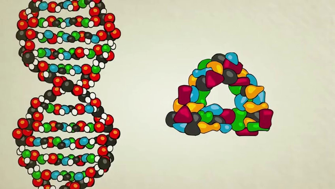 What is DNA?