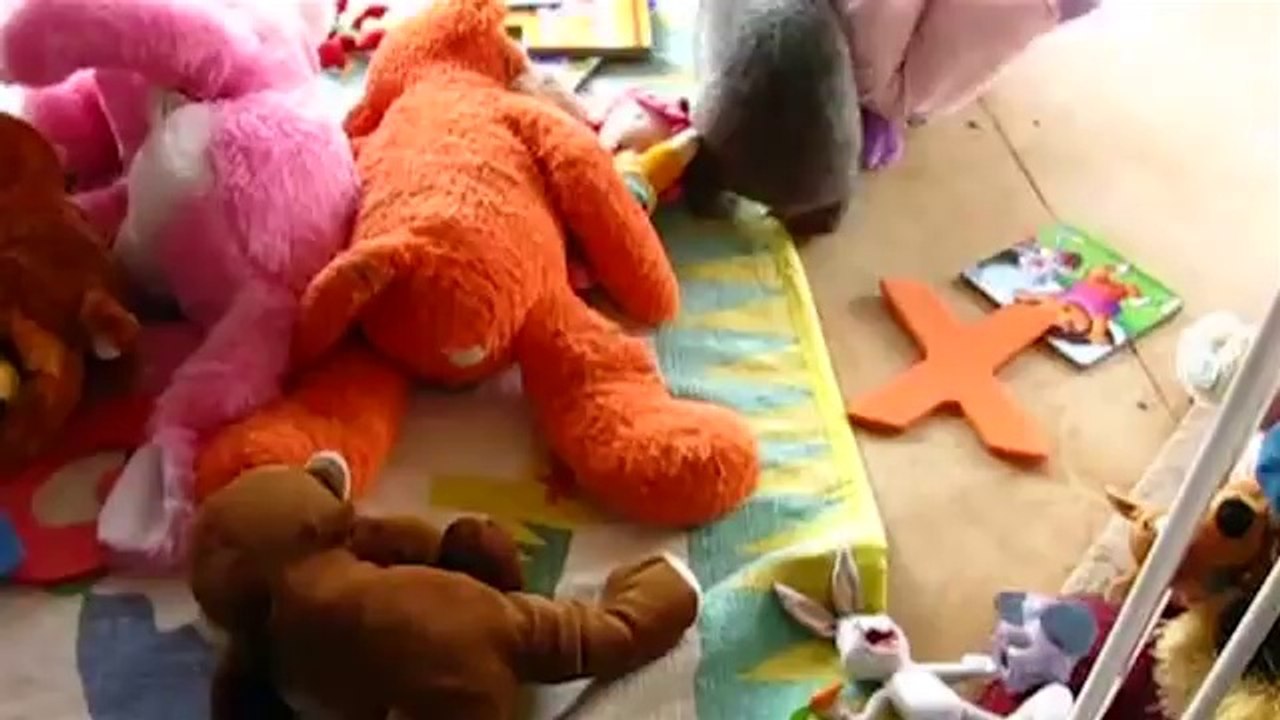 What In The World Is Bob Beckel