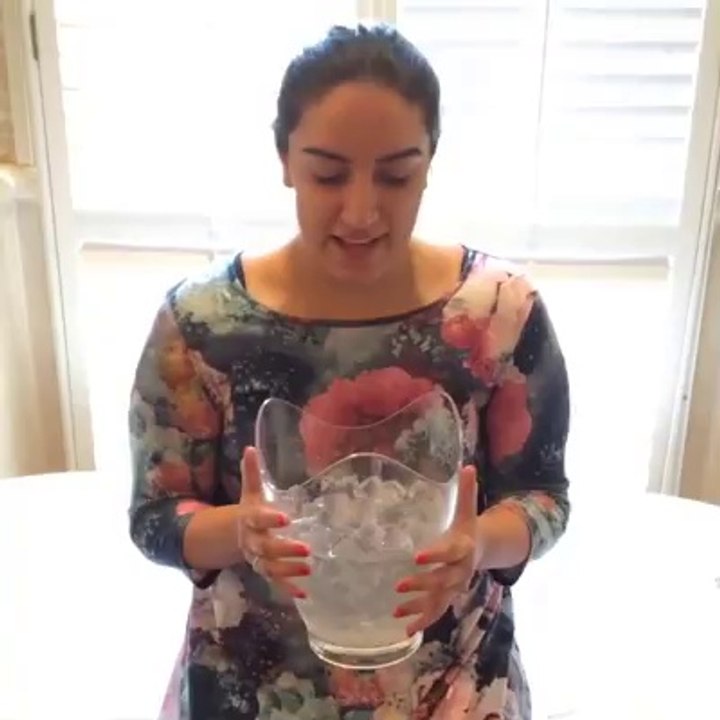 Bakhtawar Bhutto Zardari attempts the