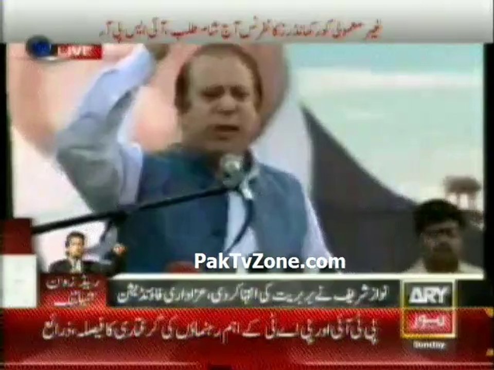 what is difference between  PMLN and PPP Government