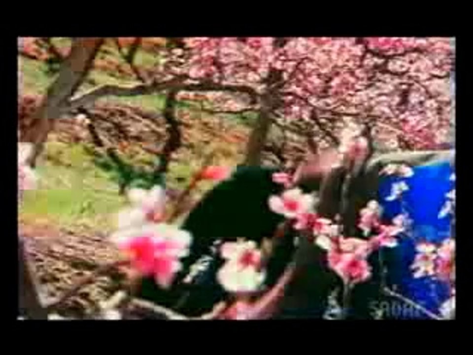 Zara zara bahekta hai -