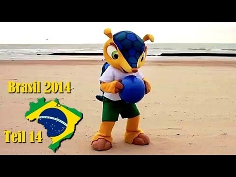 WM 2014: Das neue Maskottchen heißt Armadillo
