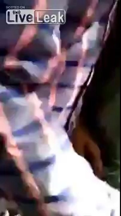 white tiger attacks and kills man in Indian zoo_Sept. 2014