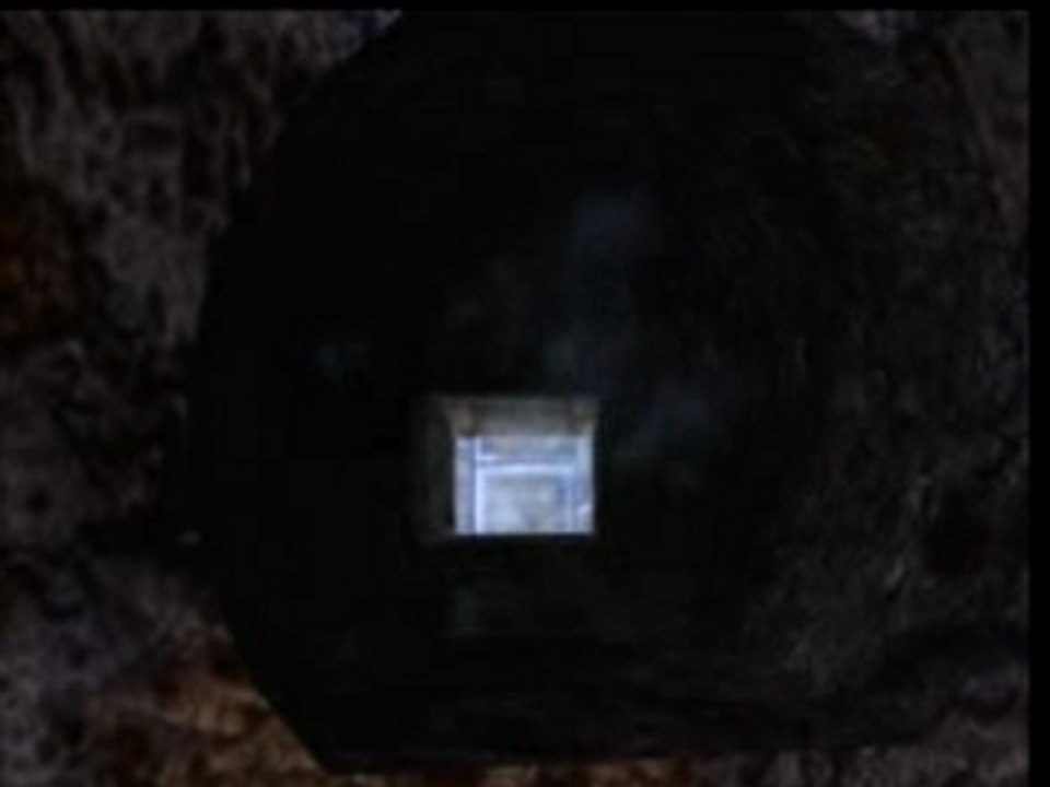 Vidéo du moment sur Internet 😉