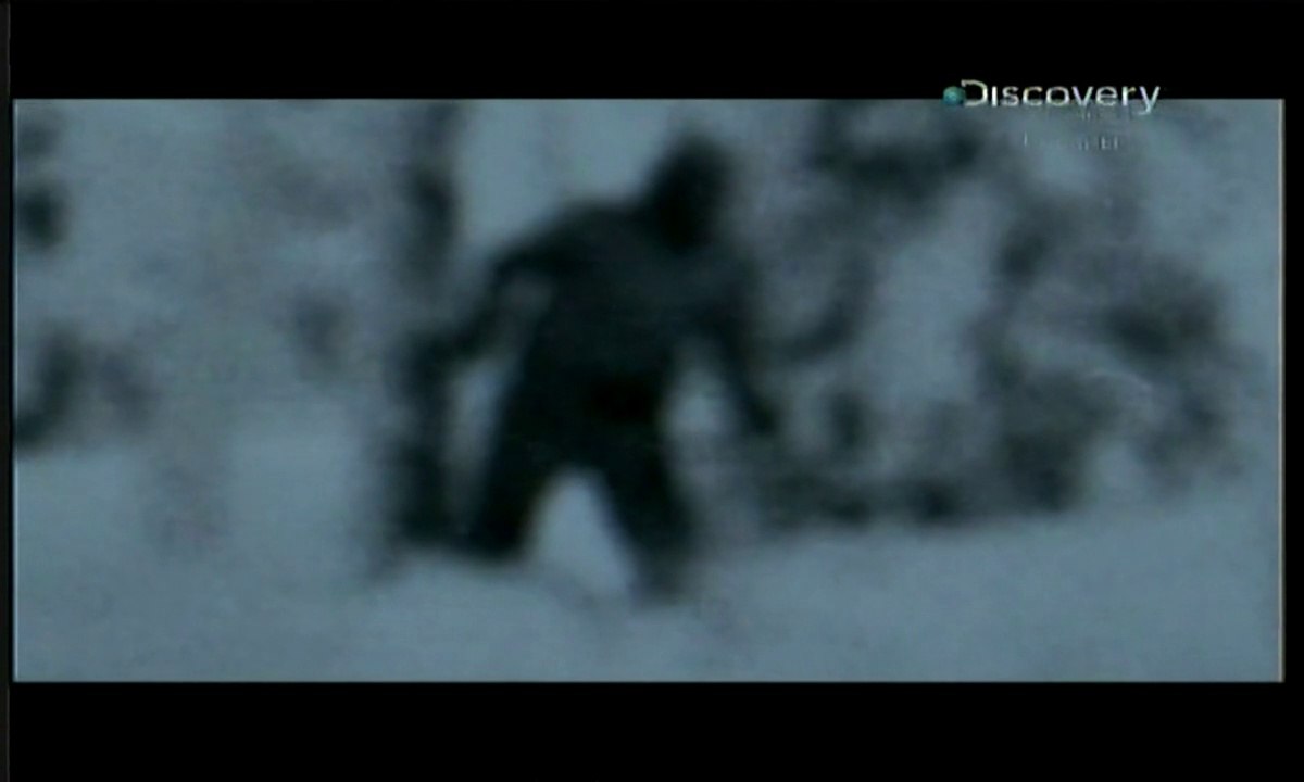 2/ Руският Йети