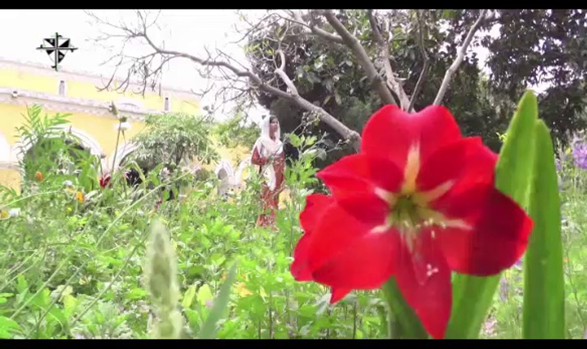 Mere Sary Gunna (Roma)