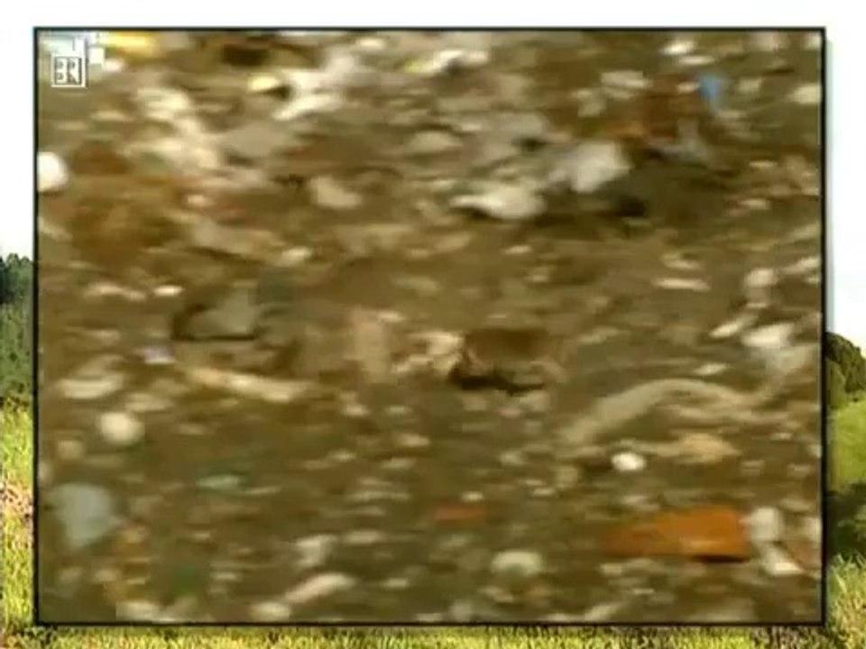 Geschichte 13 Der geschundene Planet