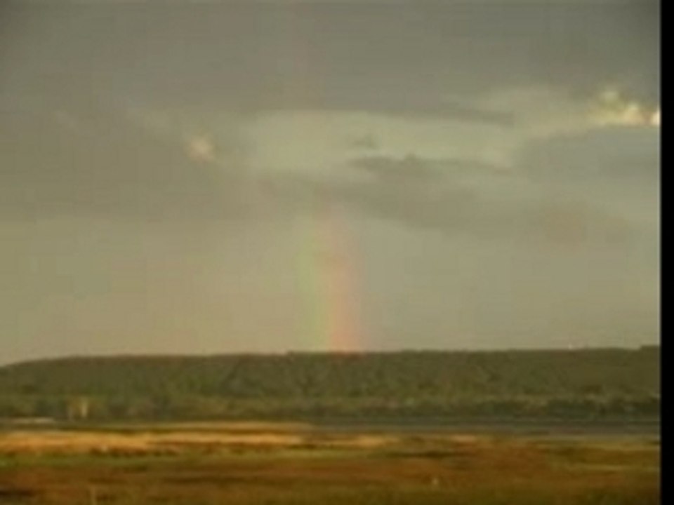 Behind the Scenes 🌟