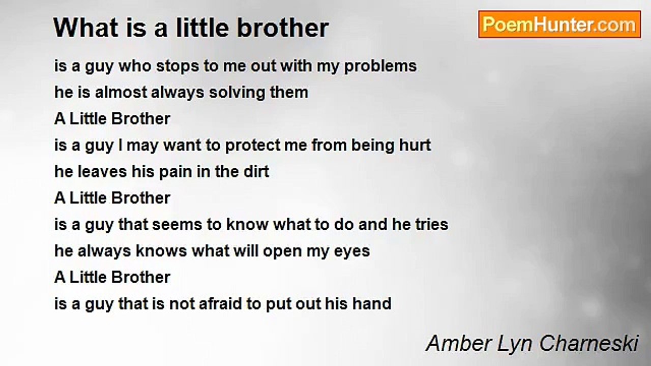 Amber Lyn Charneski - What is a little brother