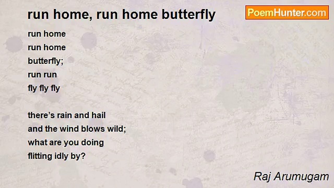 Raj Arumugam - run home, run home butterfly