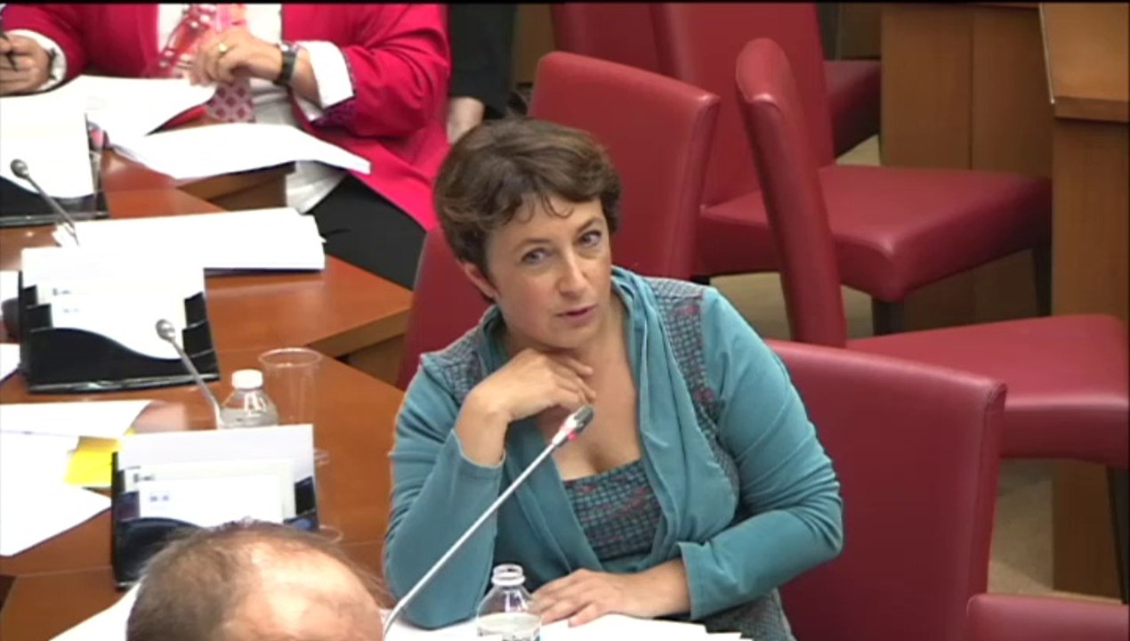 Attard Bloche Féron transposition directives