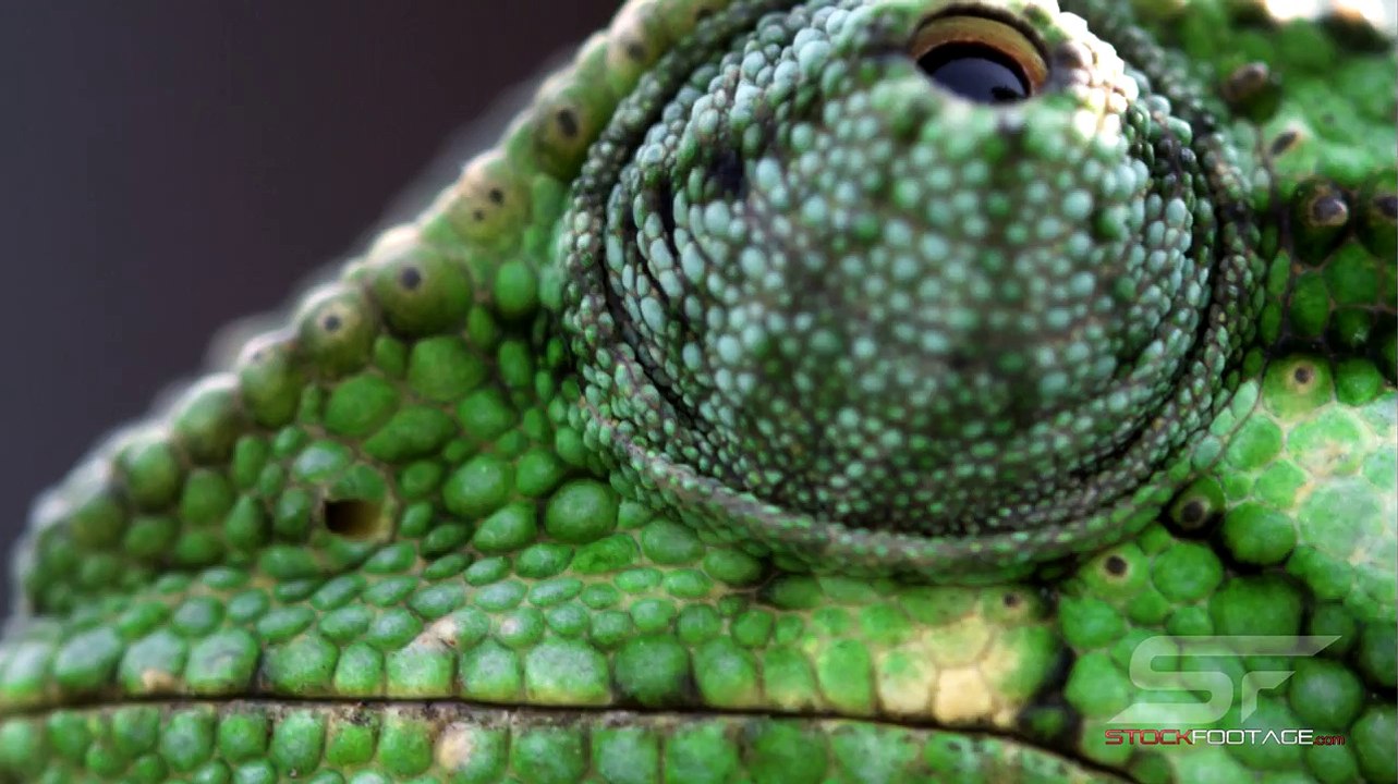 Sample HD (HD) video download