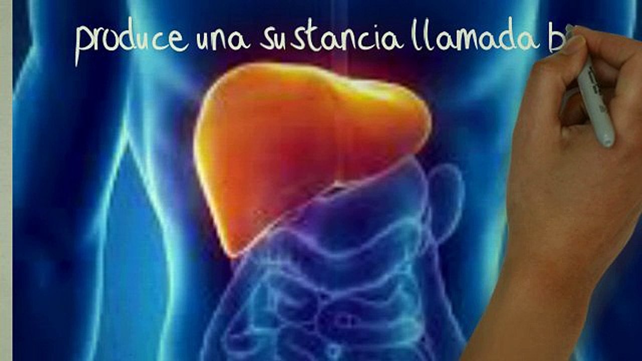 como bajar de peso / en tres simples pasos