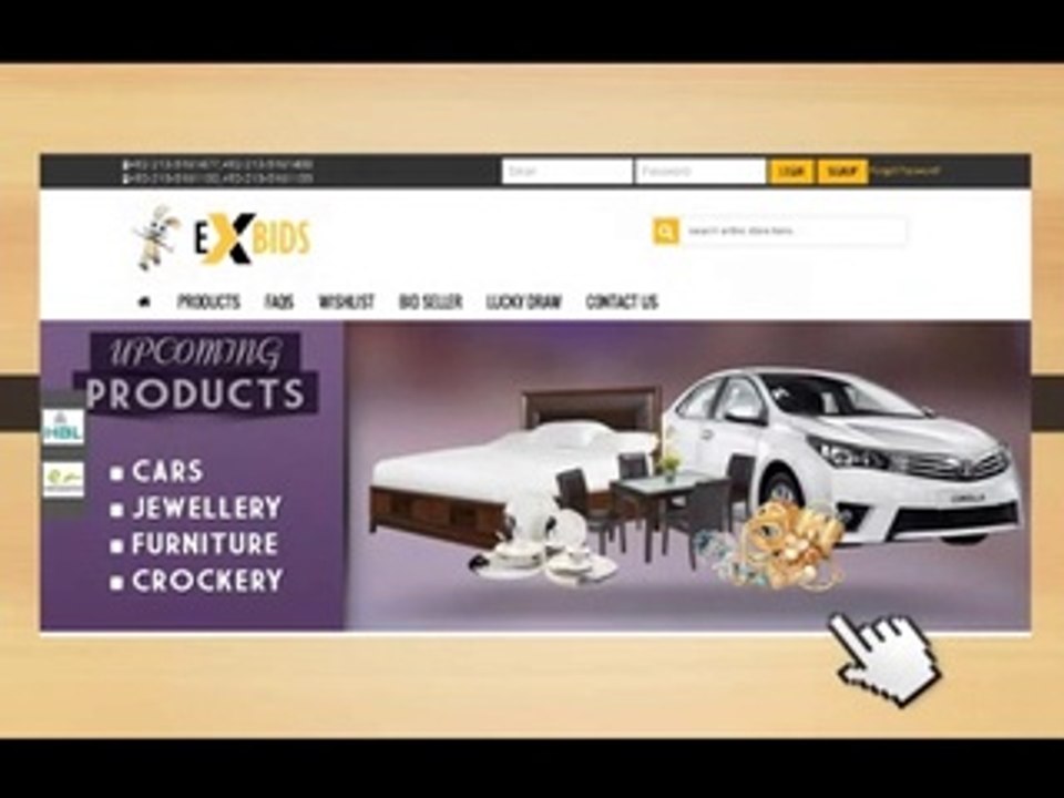 How Exbids Operate Explained