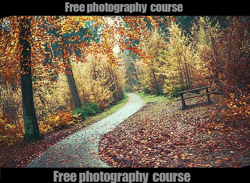 free photography course