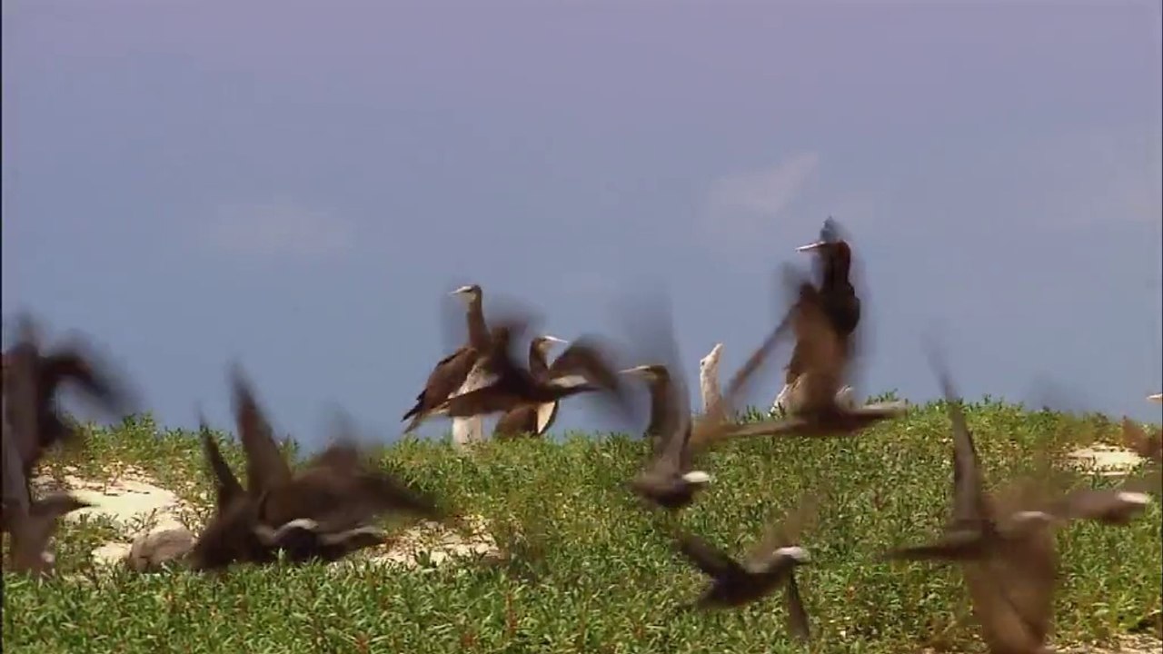 JMG Applications Overview