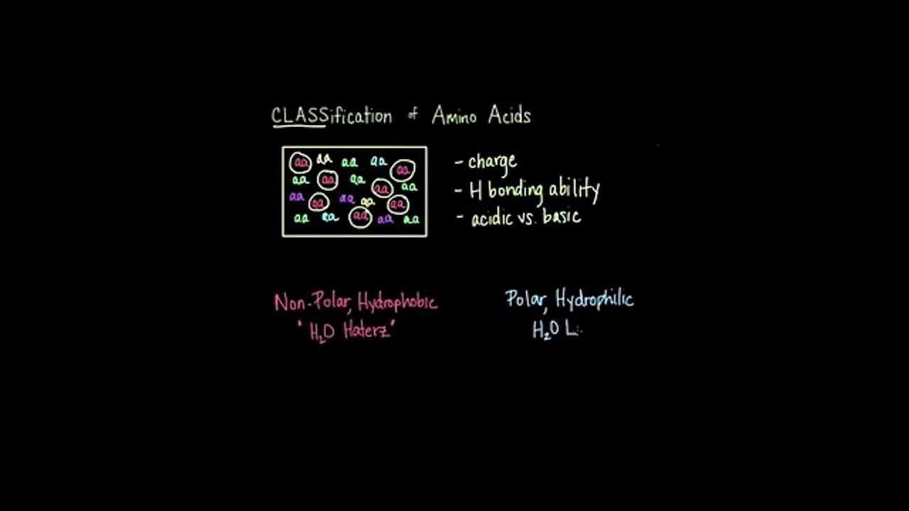 Classification of Amino Acids