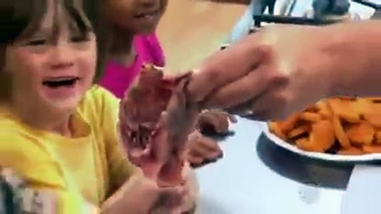 Chicken McNuggets – Was sind sie?