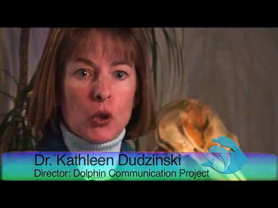 Dolphin Mysteries- Unlocking the Secrets of Communication