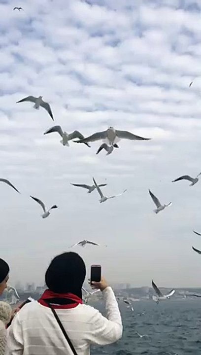 Best prey Sea in USA which is famouse for hunting