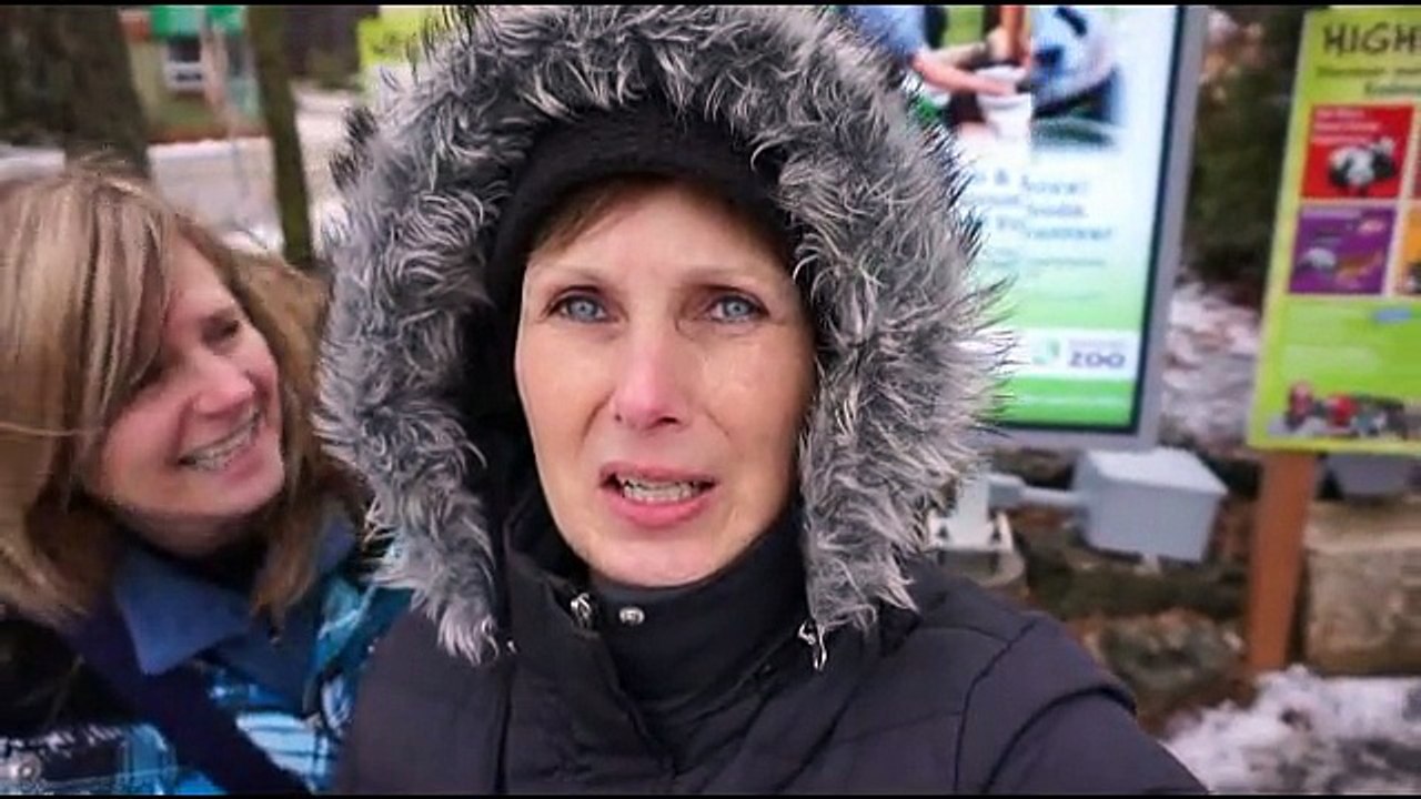 LIONS AND TIGERS AND BEARS