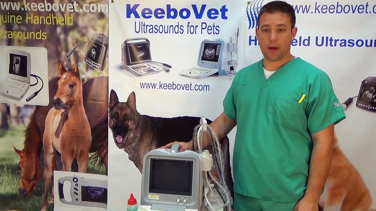 KX2600KV Veterinary Portable Ultrasound Machine Introduction