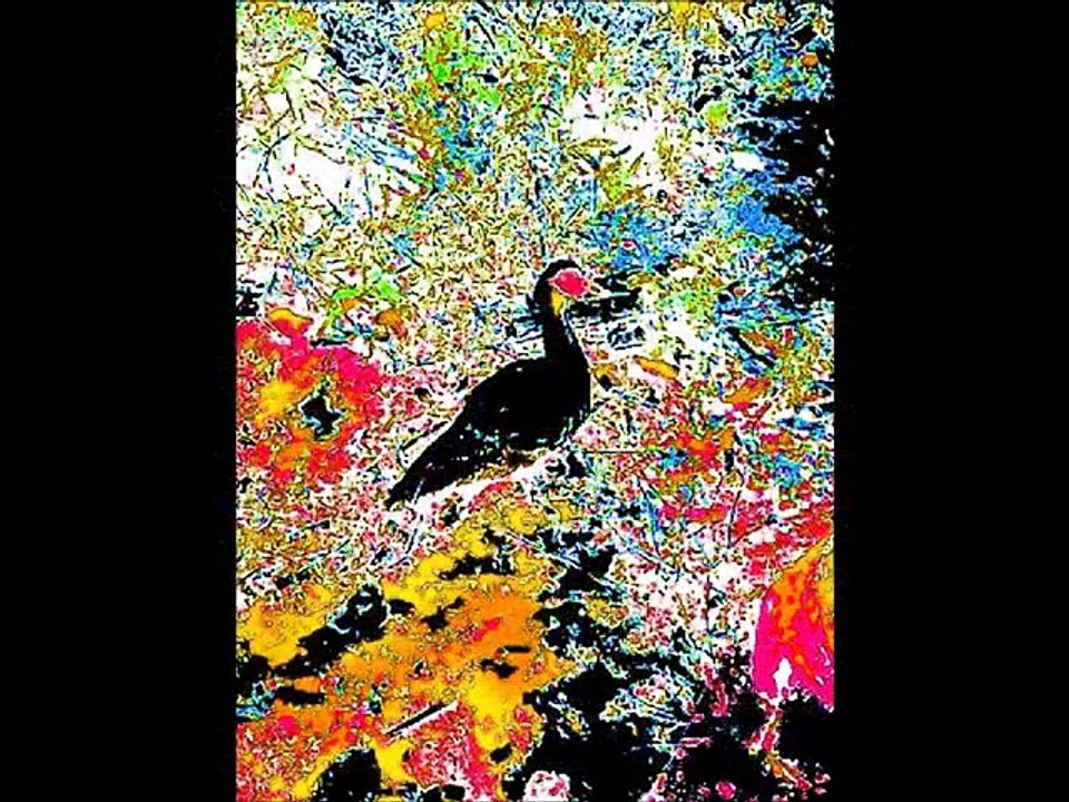 Art Moderne: Modern Artistic Expressions