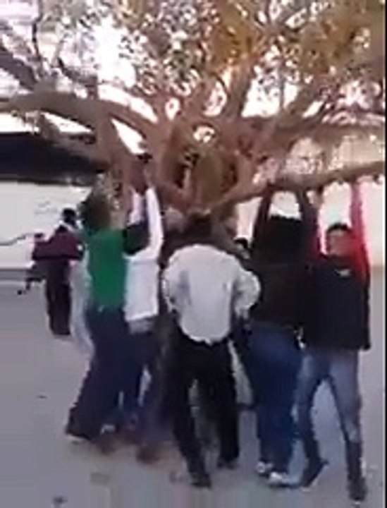 Humorous College Student Video Clips