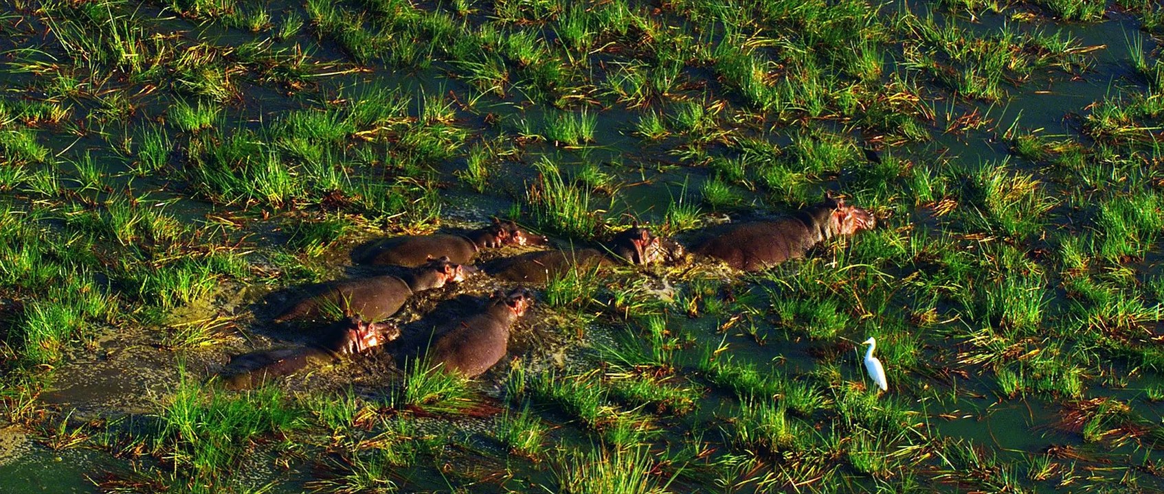 Люси (фантастика, боевик)