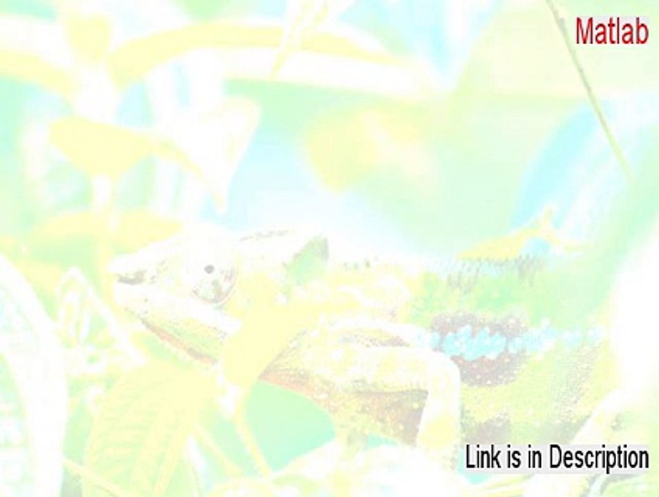 Matlab Serial - Risk Free Download (2015)