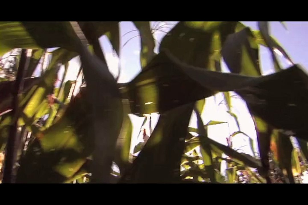 Master Visual and Media Anthropology Freie Universität Berlin