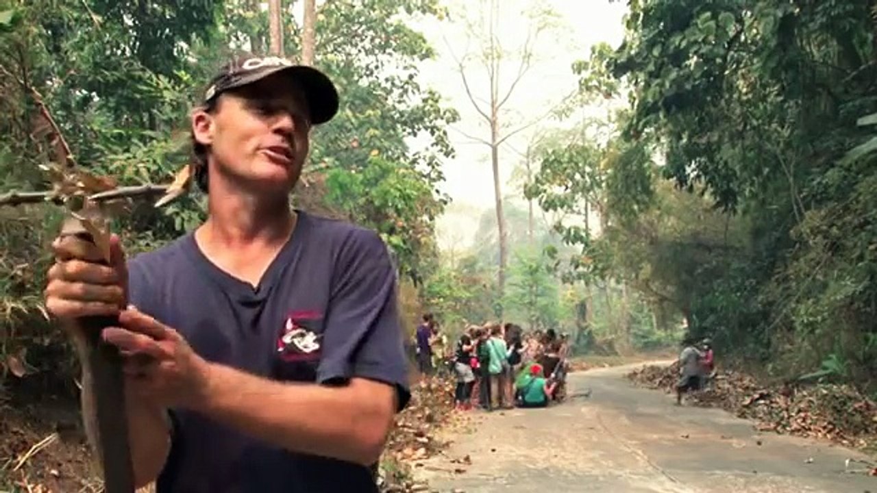 Fires in Southeast Asia