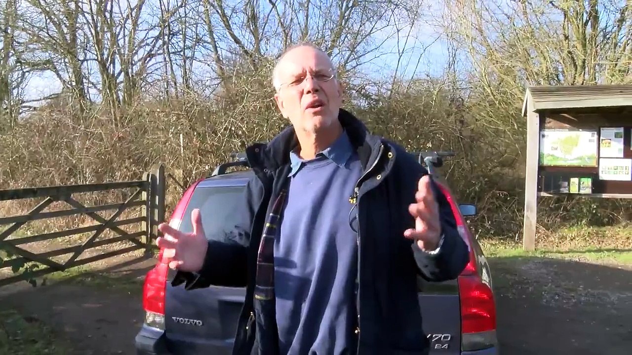 Angry Swan challenges Simon to ‘Round Two’!