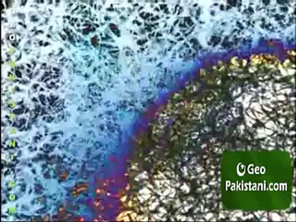 Exclusive Program Gumnaam - How much for a Qabar (Grave)