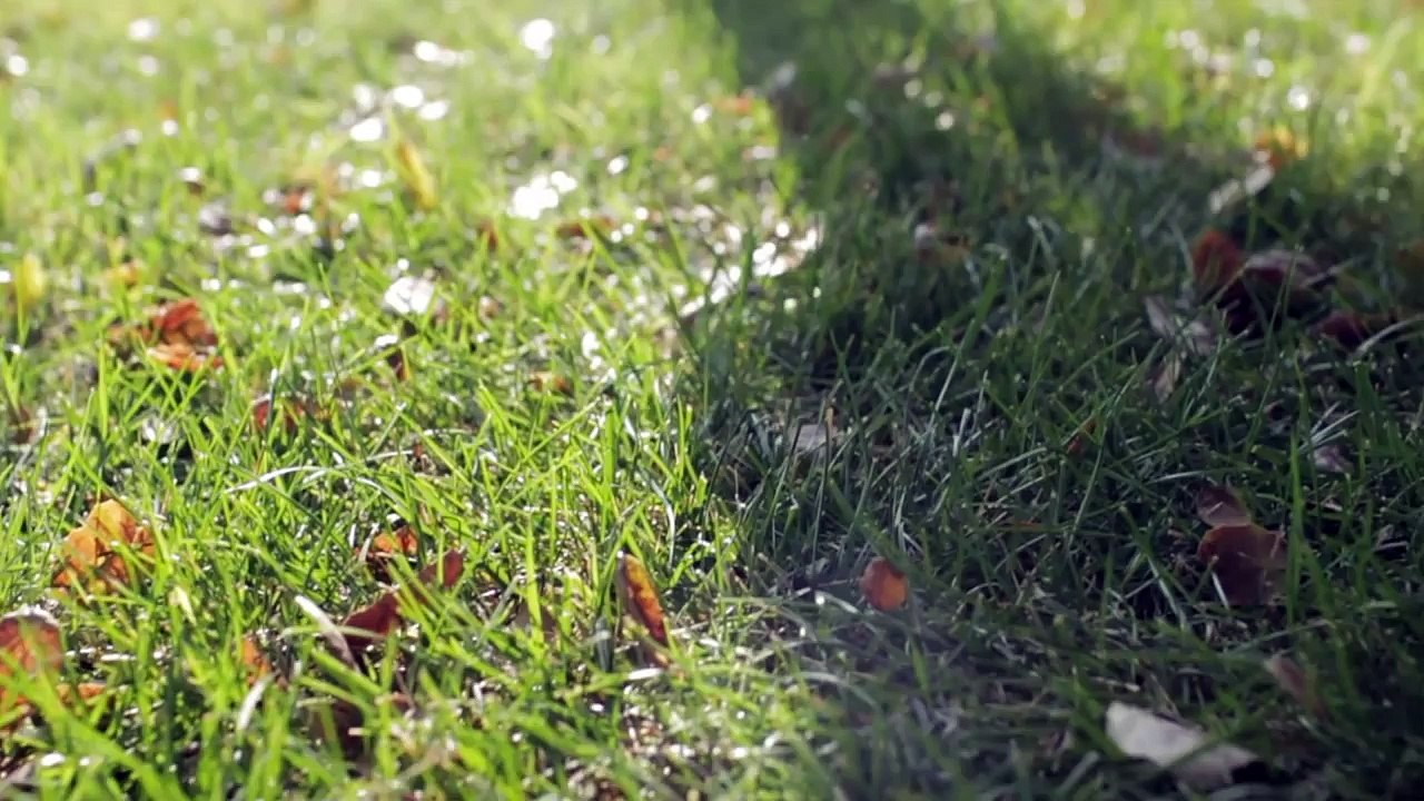 Authenticity - Tiffany Alvord (Original Song).