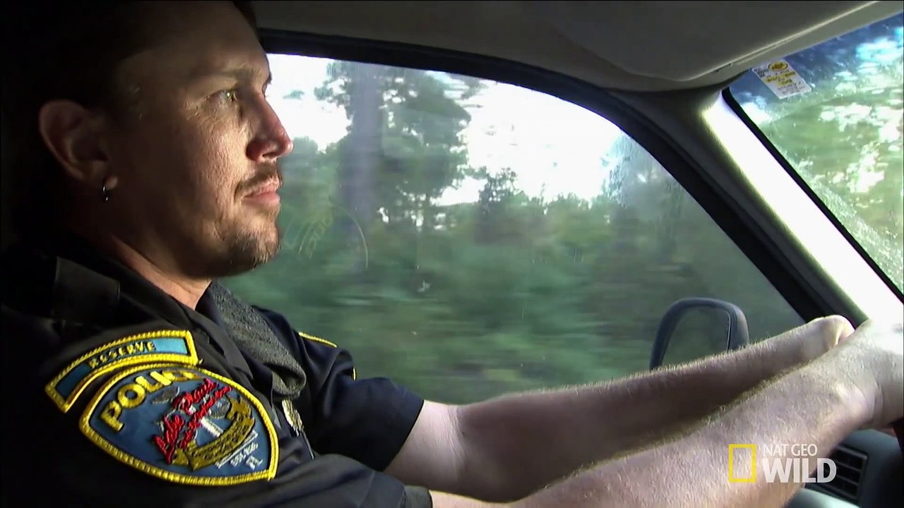 Python Hunters - Law Enforcement Lesson