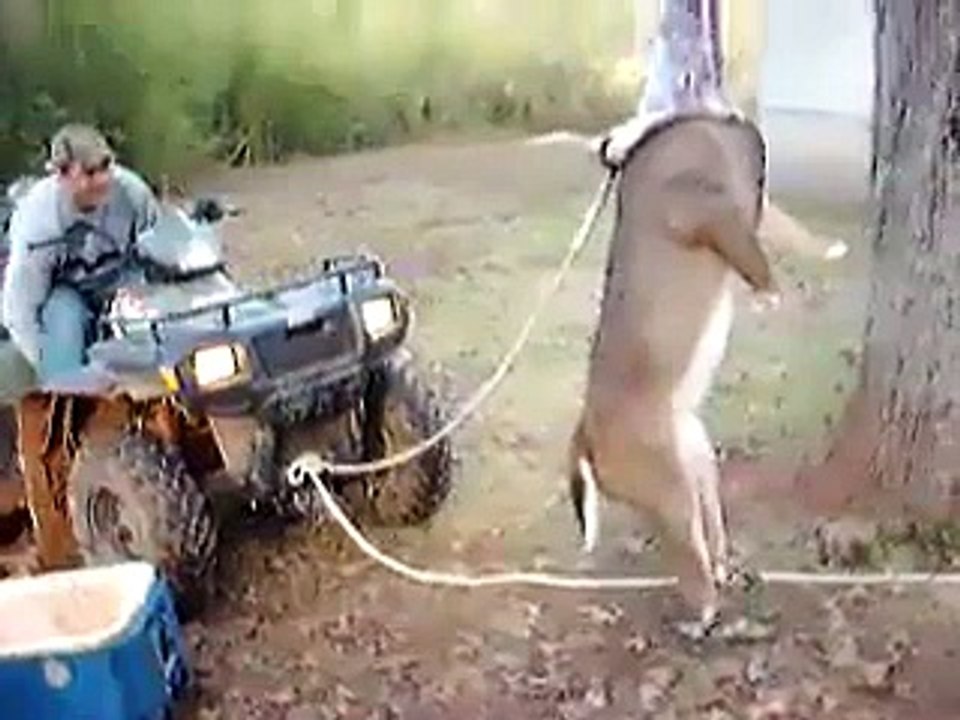 OMG!!! What is he Doing--- - Its really amazing