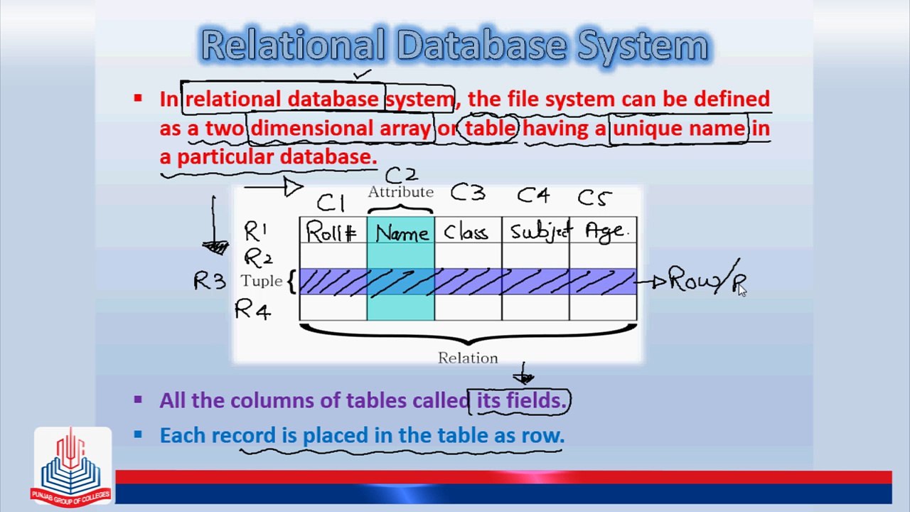 Relational Database System/ Entity