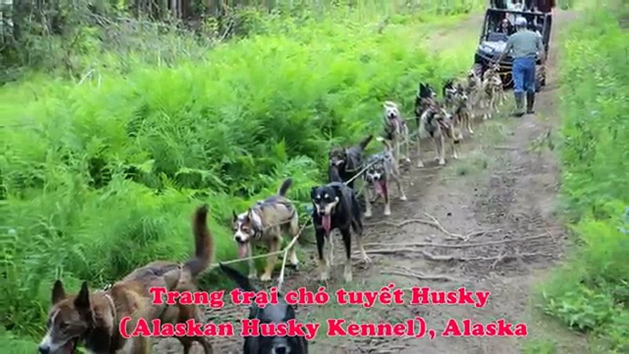 Du lịch Mỹ - Canada- Alaska - Rocky Mountains- Bản hòa âm của sông băng và núi tuyết