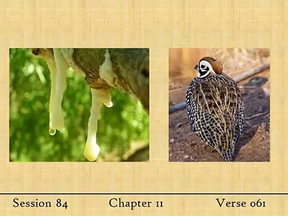 The Quran explanation in english by Elsharawy part 27