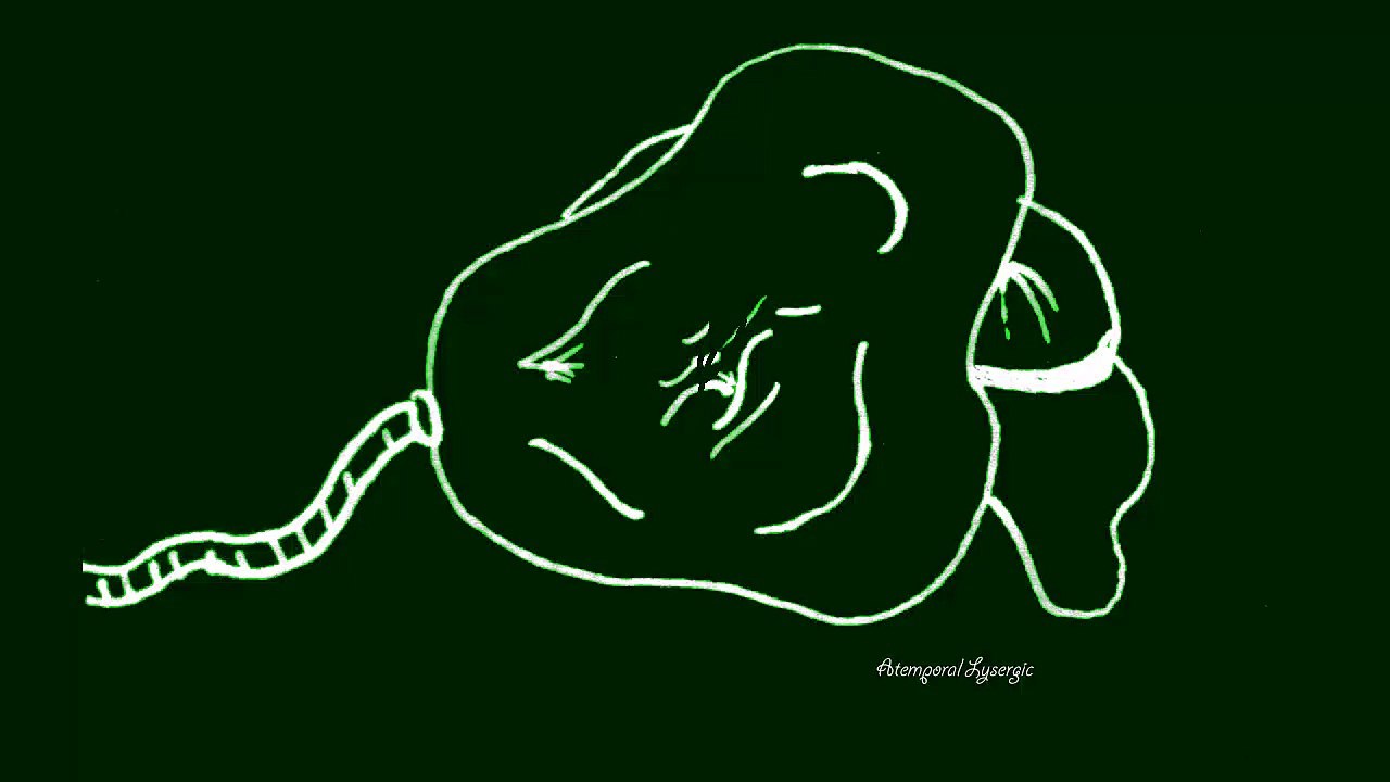 the hallucinogen experiment. Dance experiment