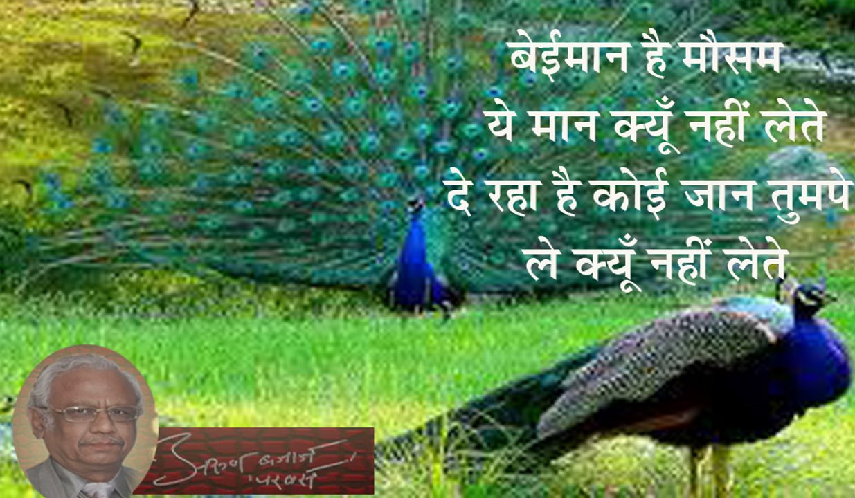 Beiman hai moisam-MPEG-4ebook4