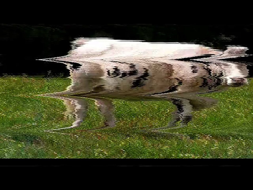 Le bruit dans ma tête - Clip