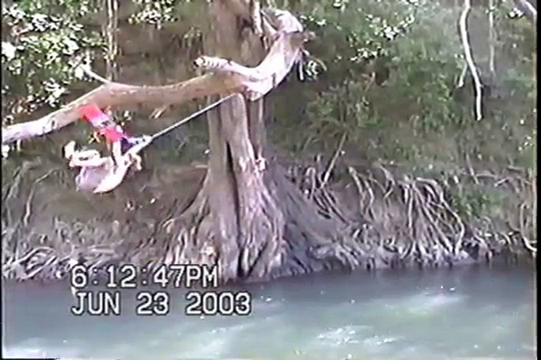 "Tree Slammin'" - Tree Surfing