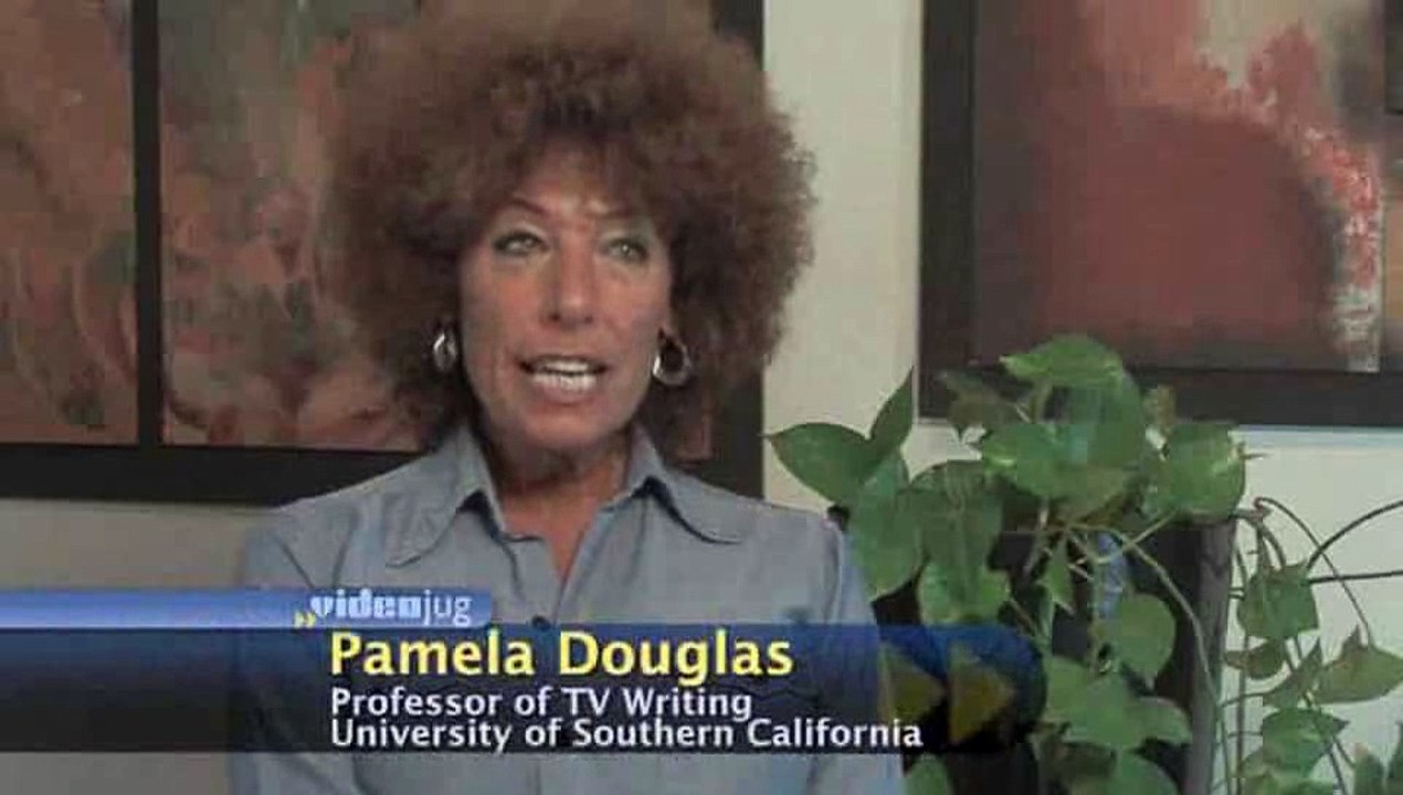 What is a 'series franchise' in TV drama?: Types Of TV Dramas