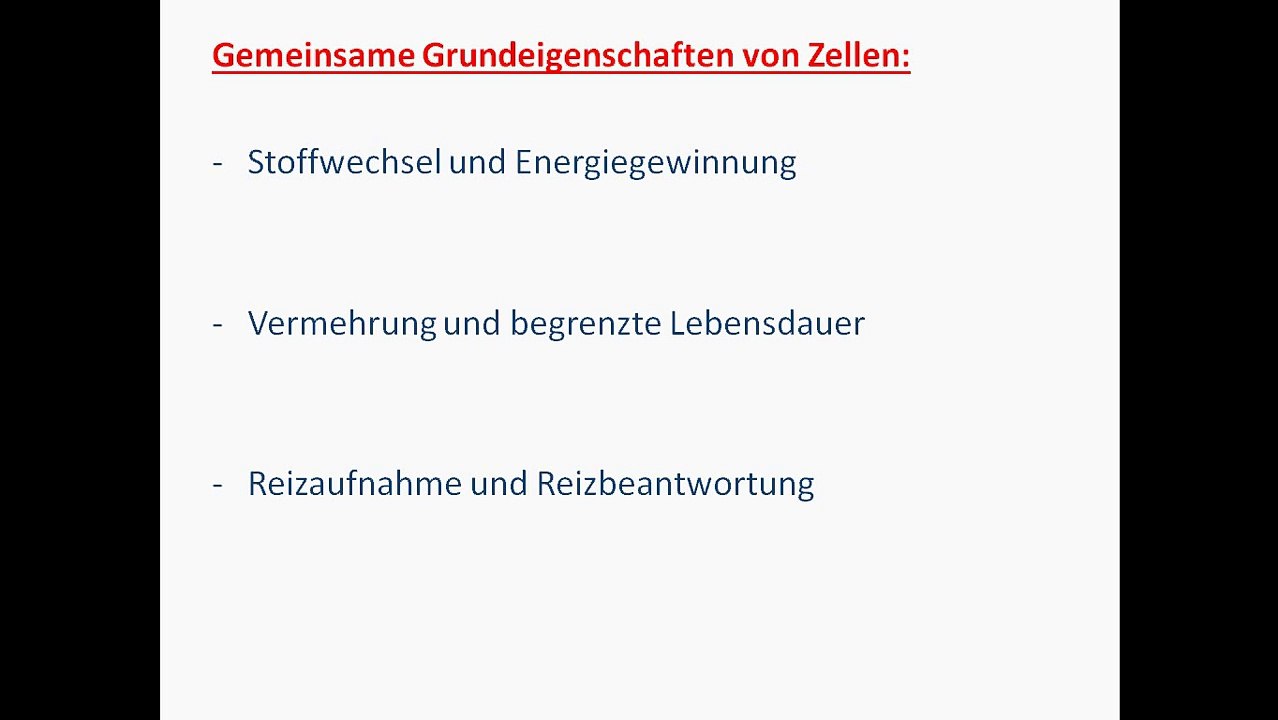 Die Zelle-Aufbau/Funktion