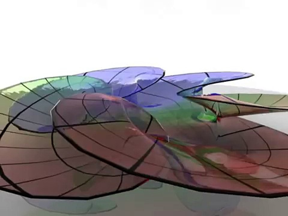 Visualization of Riemann Surfaces