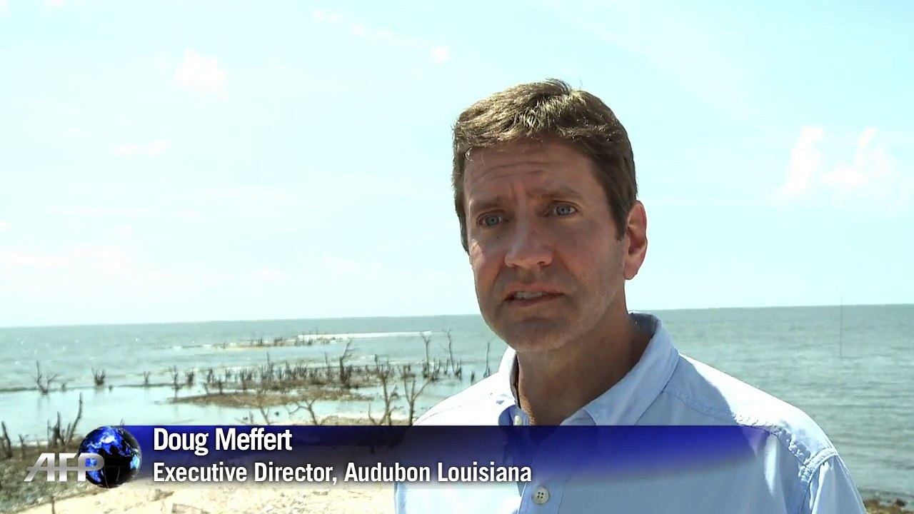 Five years later, the BP oil spill is still taking its toll