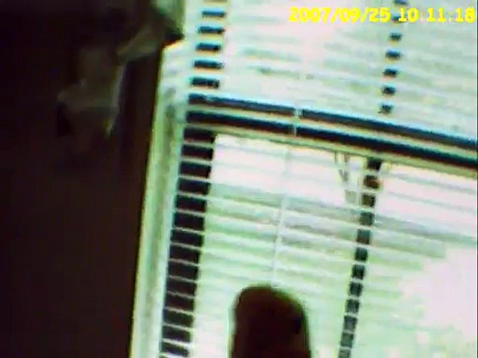 HELP! HELP! HELP HELP! JEEPERS